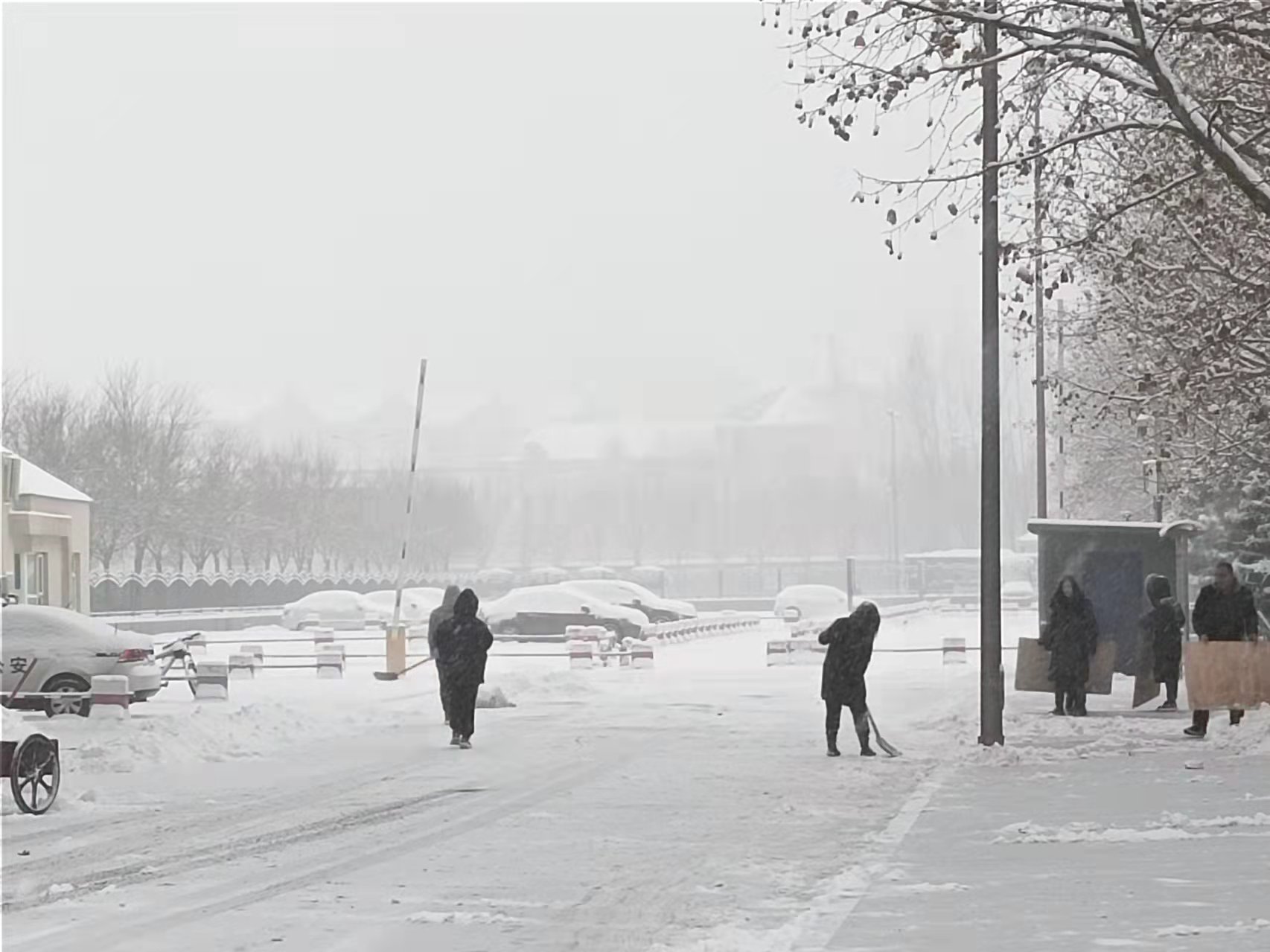 51526419.jpg 51526419.jpg