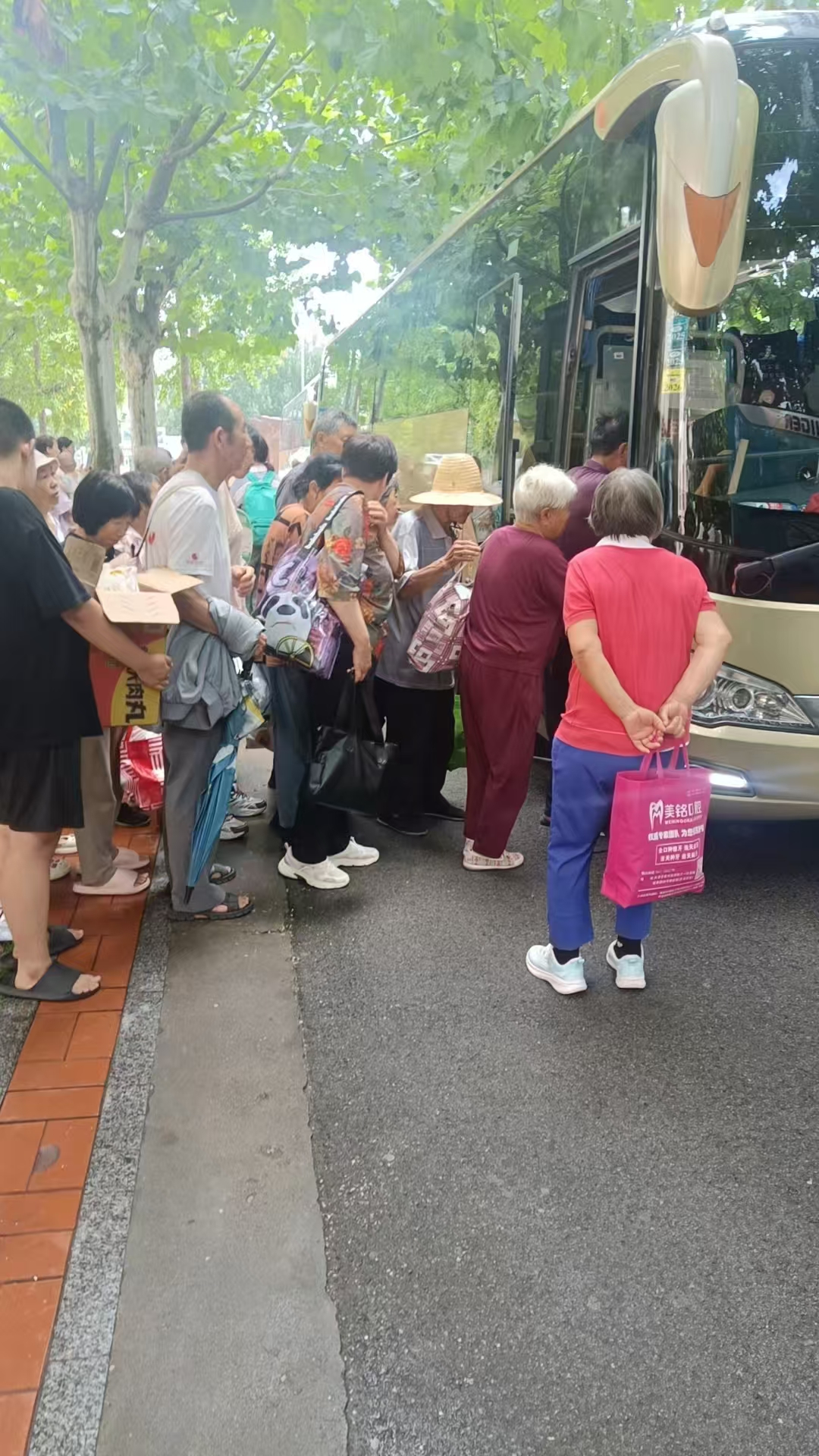 81079966.jpg 81079966.jpg